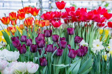 Similar image 18512452