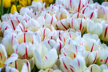 Similar image 18512472