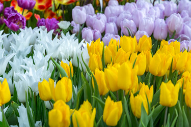 Similar image 18512474