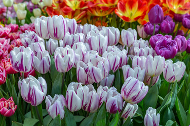 Similar image 18512475