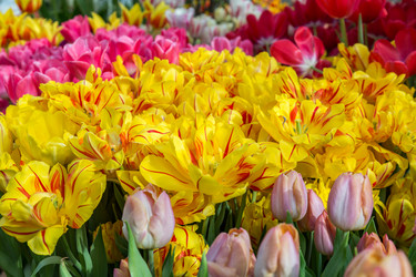 Similar image 18512476