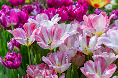 Similar image 18512478