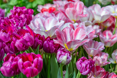 Similar image 18512479