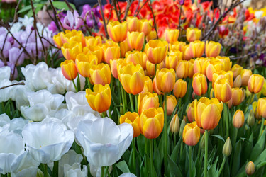 Similar image 18512480