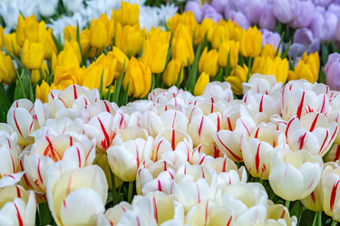 Similar image 18512492