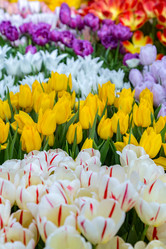 Similar image 18512493