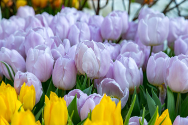 Similar image 18512494