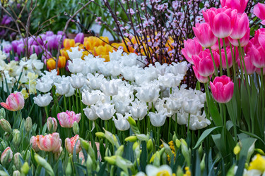 Similar image 18512496