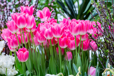 Similar image 18512497