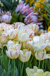 Similar image 18512499