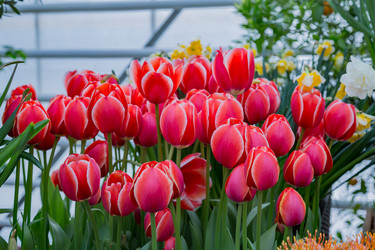 Similar image 18512516