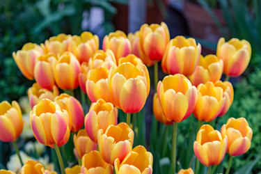 Similar image 18512505