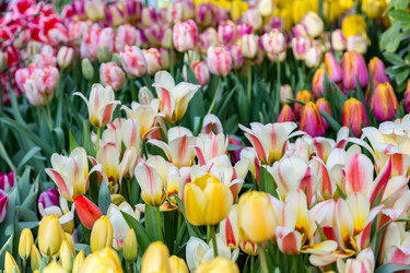 Similar image 18512507