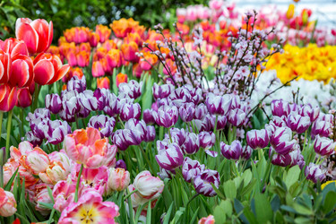 Similar image 18512508