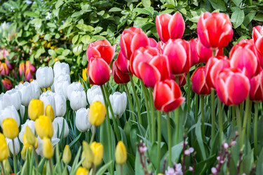 Similar image 18512509