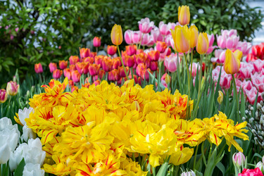 Similar image 18512510