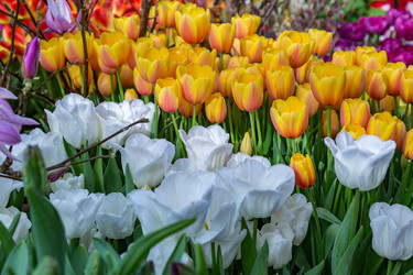 Similar image 18512559