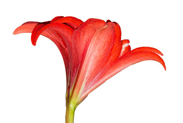 Similar image 18508986