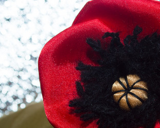 Similar image 18509012