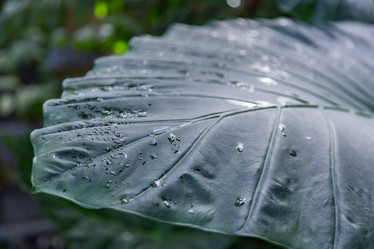 Similar image 18512481