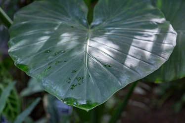 Similar image 18512482