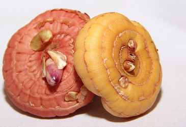 Similar image 18509017