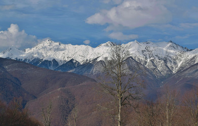 Similar image 17817146