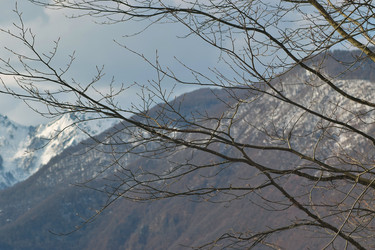 Similar image 17817147