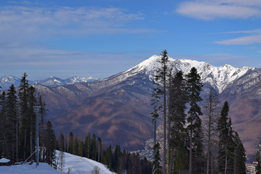 Similar image 17817133