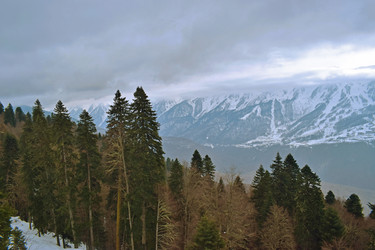 Similar image 17817134