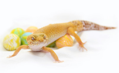 Similar image 17816870