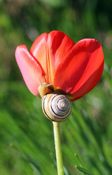 Similar image 17816881