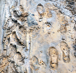 Similar image 17816898