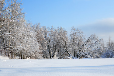 Similar image 17816926