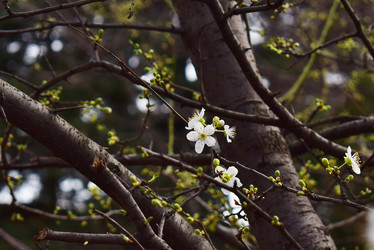 Similar image 17817136