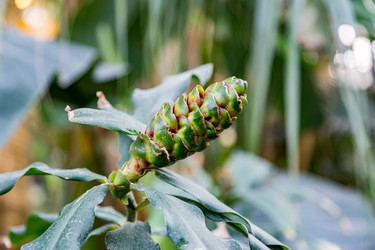 Similar image 18512540