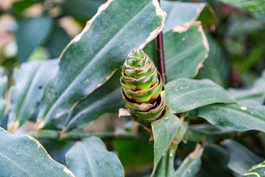 Similar image 18512542