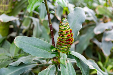 Similar image 18512546