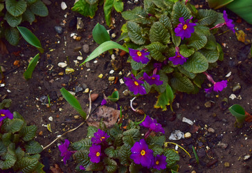 Similar image 17817152