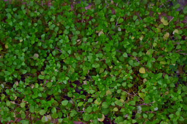 Similar image 17817154