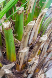 Similar image 18512589