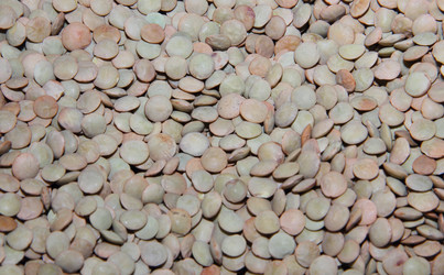 Similar image 18508991