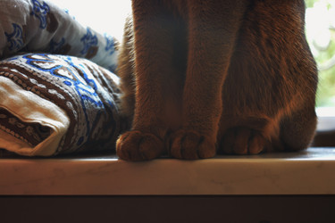 Similar image 18138224