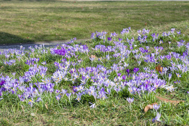 Similar image 17816987