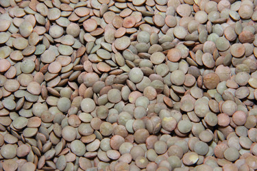 Similar image 18509031