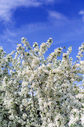 Similar image 17816978