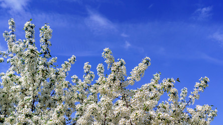 Similar image 17816981