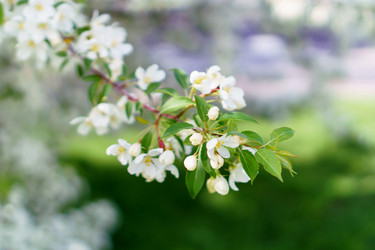 Similar image 17816983