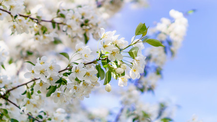 Similar image 17816984