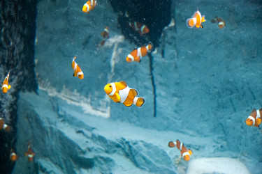 Similar image 18510724